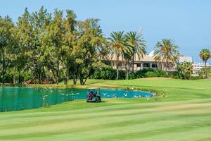 Villa de 6 chambres - Playa de Las Américas (0)