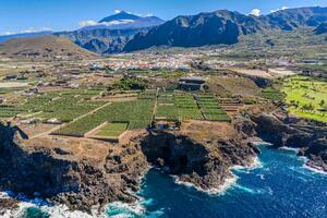 Seafront 6 Bedroom Estate - Buenavista del Norte (4)