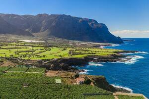 Seafront 6 Bedroom Estate - Buenavista del Norte (6)