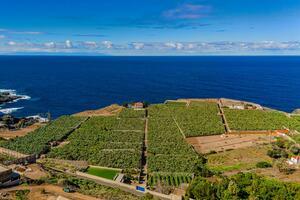 Seafront 6 Bedroom Estate - Buenavista del Norte (7)