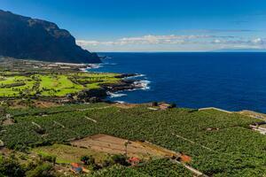 Seafront 6 Bedroom Estate - Buenavista del Norte (8)