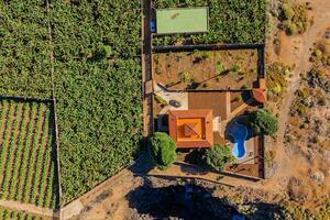 Seafront 6 Bedroom Estate - Buenavista del Norte (11)