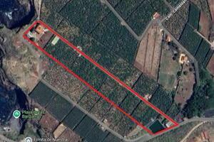 Seafront 6 Bedroom Estate - Buenavista del Norte (52)