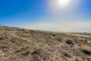 Land - Vera de Erques (1)