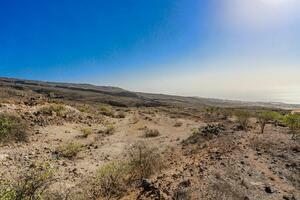 Land - Vera de Erques (6)