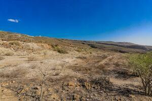 Land - Vera de Erques (7)