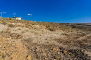 Land - Vera de Erques (8)