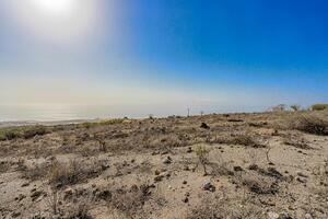 Land - Vera de Erques (13)