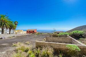 Terrain - Granadilla de Abona (3)