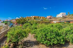 13 Bedroom Hotel - San Miguel — photo 49 of 169