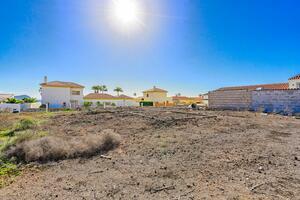 Land - Golf del Sur  (4)