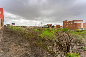 Land - San Miguel (7)