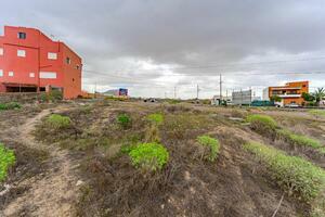 Land - San Miguel (8)