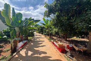 Estate - Santiago del Teide (18)