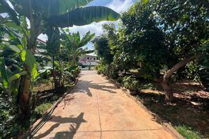 Estate - Santiago del Teide (19)