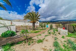 Estate - Granadilla de Abona (16)