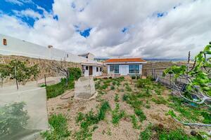 Estate - Granadilla de Abona (25)