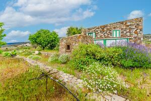 2 Bedroom Villa - Tijoco Alto (23)