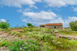 2 Bedroom Villa - Tijoco Alto (24)