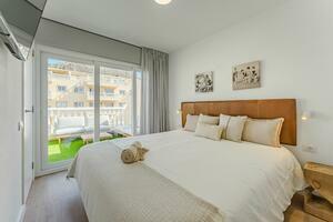 3 Bedroom Penthouse - Palm Mar (9)