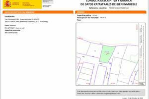 Land - Candelaria (12)