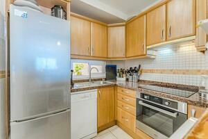 2 Bedroom Penthouse - El Madroñal - Los Almendros (7)