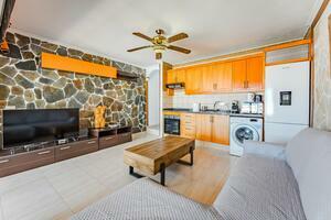 2 Bedroom Apartment - El Madroñal - Villas Canarias (4)