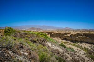 Terreno - Golf del Sur - Alamo Park (7)