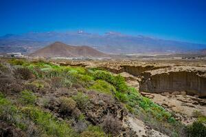 Terreno - Golf del Sur - Alamo Park (9)