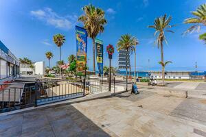 Business - Playa de Las Américas (0)