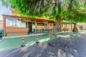 Negocio - Vilaflor (1)