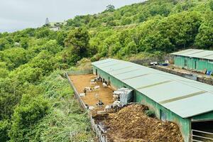 Geschäft - Garachico (0)