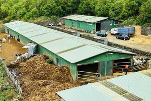 Geschäft - Garachico (1)