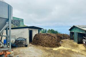 Geschäft - Garachico (3)