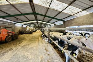 Geschäft - Garachico (4)