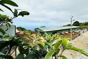 Geschäft - Garachico (12)