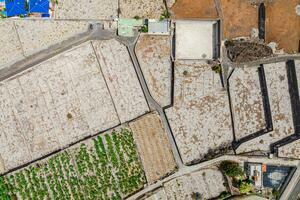 Land - Puerto de Santiago (35)