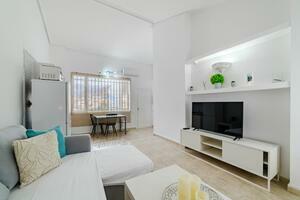 1 Bedroom Penthouse - El Madroñal - Villas Canarias (5)