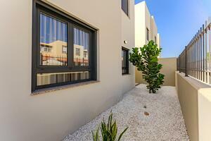 Appartamento di 2 Camere - Las Rosas (21)