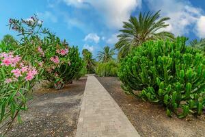 3 Bedroom Bungalow - Marazul - Marazul del Sur (2)