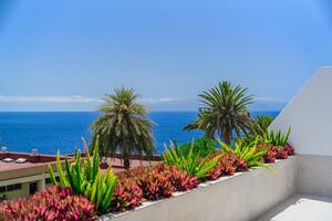 3 Bedroom Bungalow - Marazul - Marazul del Sur (50)