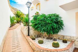 1 Bedroom Penthouse - Roque del Conde - Balcón del Atlántico (15)