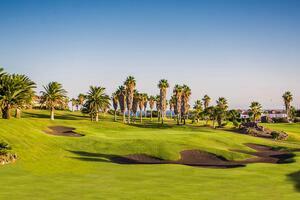 1 Bedroom Penthouse - Golf del Sur  - Park Albatros (19)