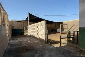 Estate - Las Galletas (6)