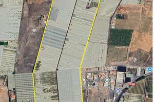 Estate - Las Galletas (8)