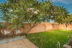 4 Bedroom House - Las Rosas — photo 19 of 25