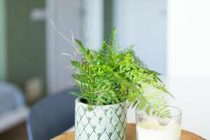 Studio - Playa Paraíso - Paraiso del Sur (13)