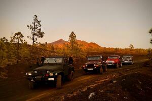 Leasehold -  Bahía del Duque (0)