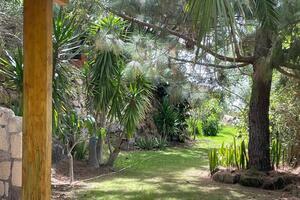 6 Bedroom Villa - Villa de Arico (38)