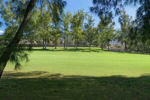 4 Bedroom Bungalow - Playa de Las Américas - Green Garden Resort (12)